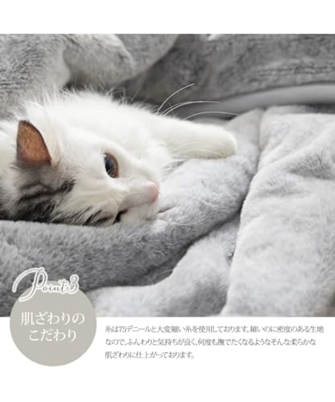 まるで猫!のようなモフモフブランケッㇳ 7