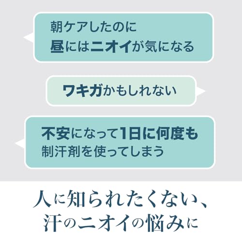 ソフトストーンW DN薬用スティックFe 2