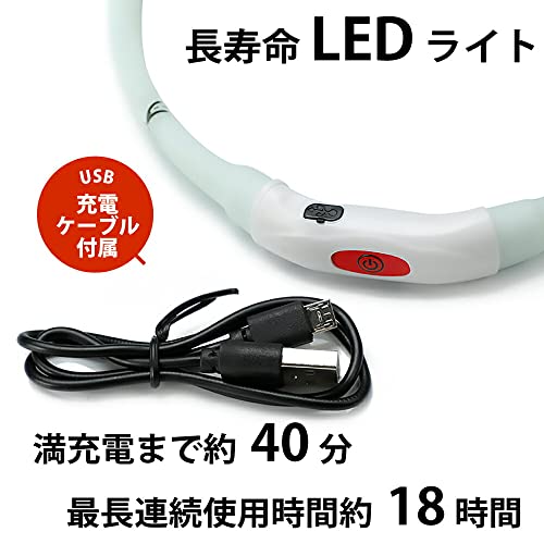 レインボー夜間発光首輪 4
