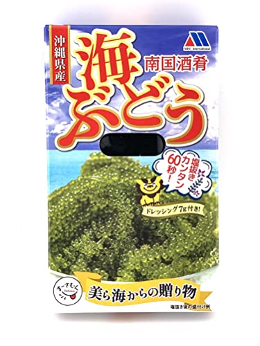 海ぶどう 1
