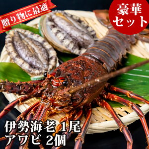 お試し豪華海鮮セット　伊勢海老大1尾+アワビL×2枚 1