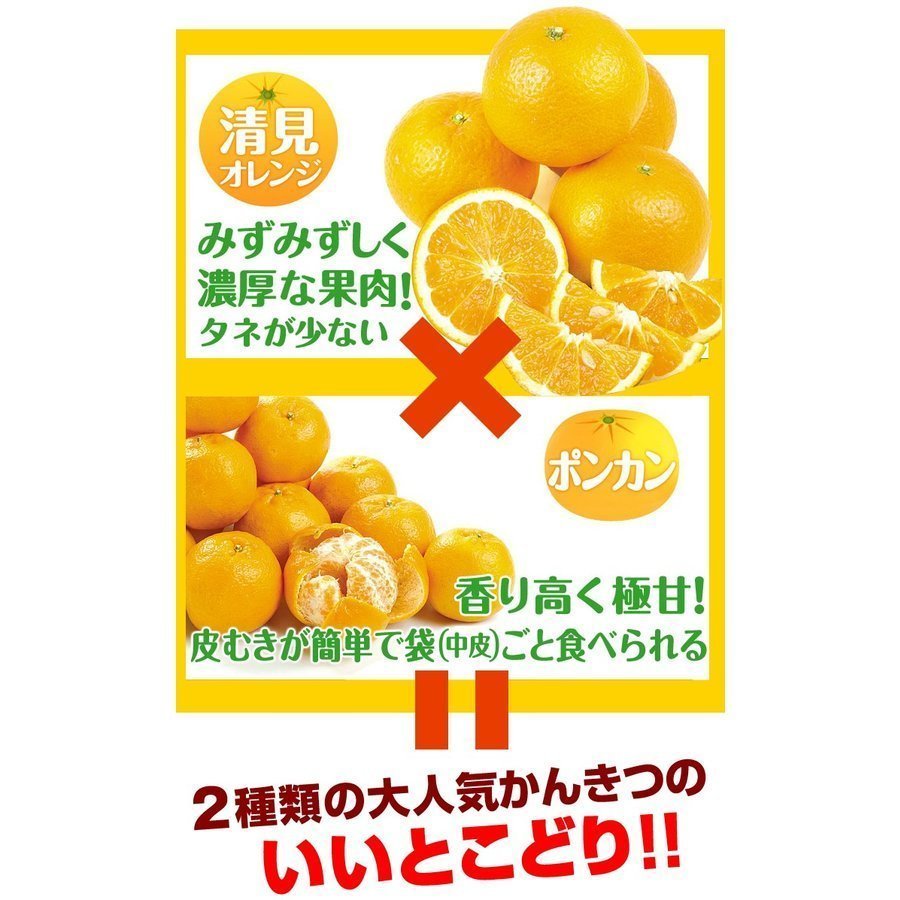 訳ありはるみ 3