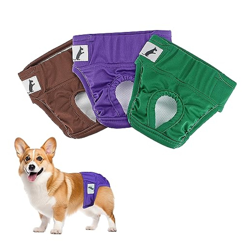 犬用生理パンツ 1