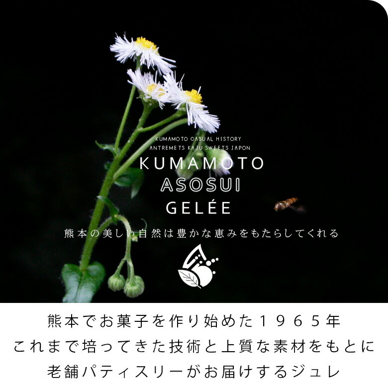 選べるフルーツジュレセット  3