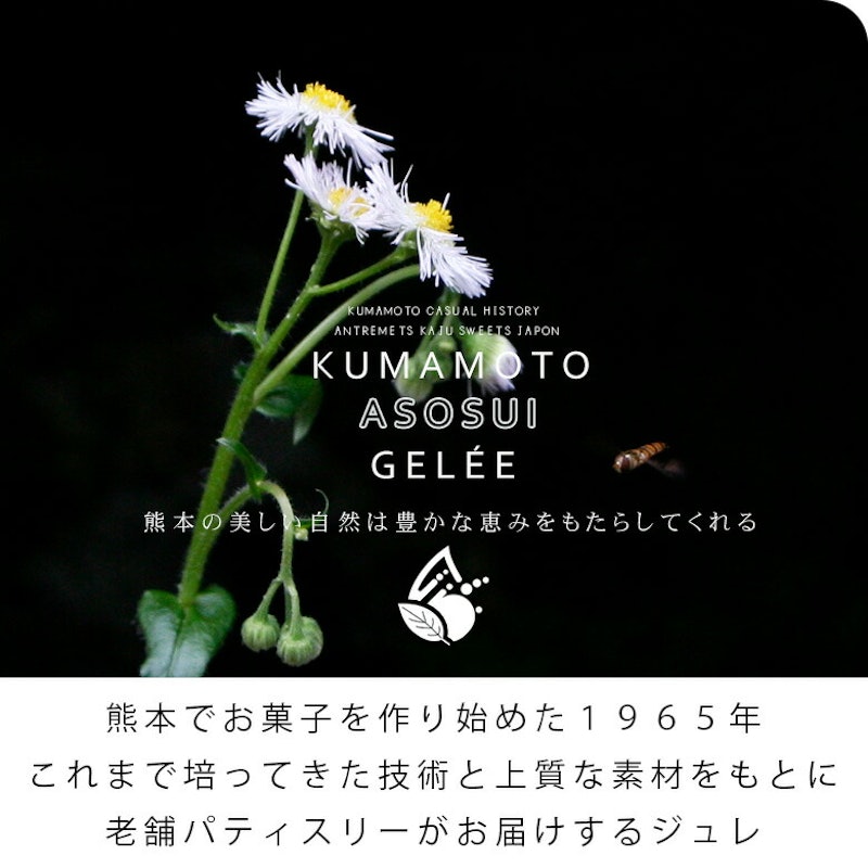 選べるフルーツジュレセット 3
