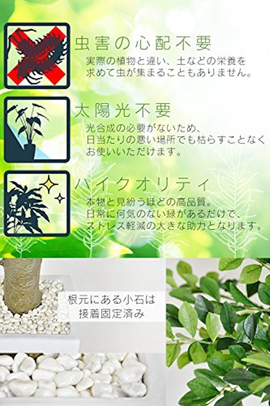 22年 光触媒で加工された観葉植物のおすすめ人気ランキング34選 Mybest 22年 光触媒で加工された観葉植物のおすすめ人気ランキング34選 Mybest