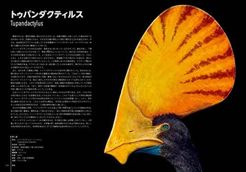 ナショナル ジオグラフィック 世界一美しい恐竜図鑑 3
