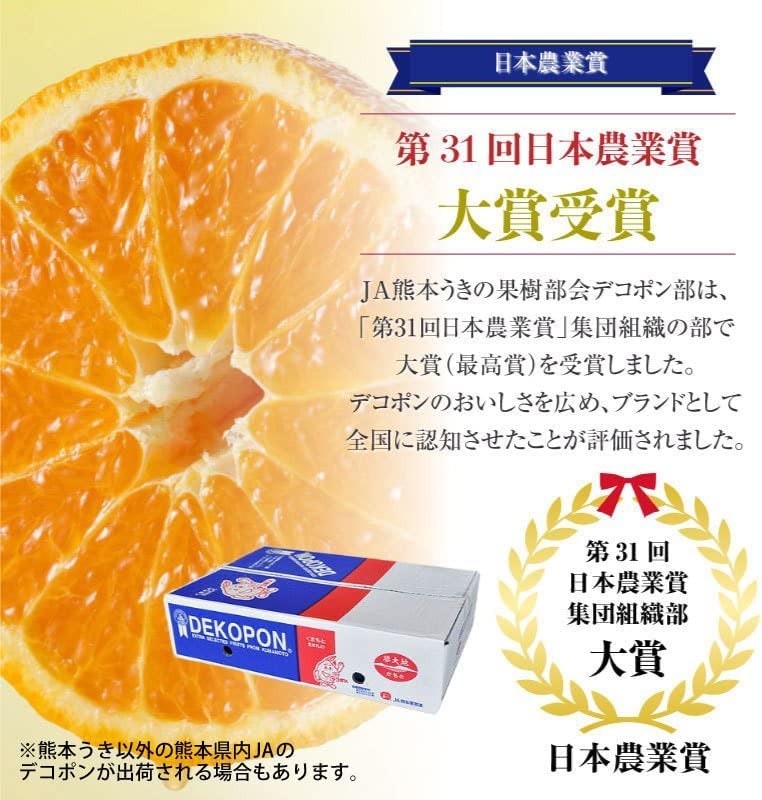 デコポン 特大サイズ 5