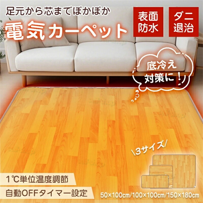 電気カーペット 1