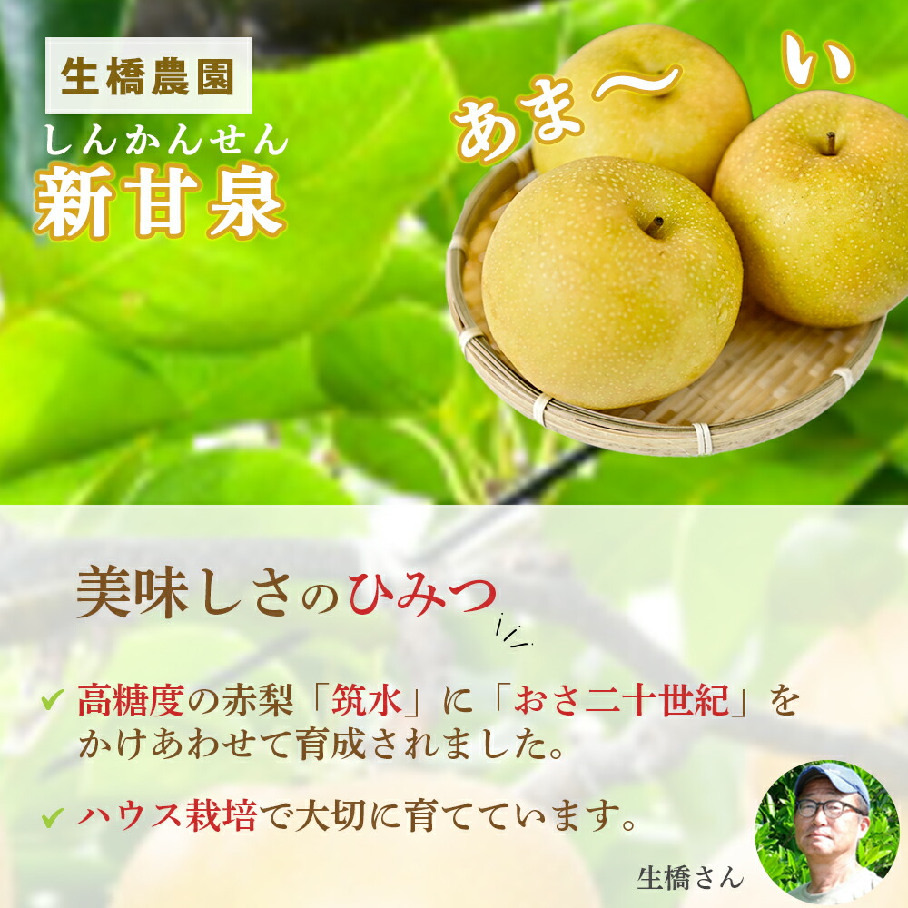 小玉 ハウス新甘泉 4