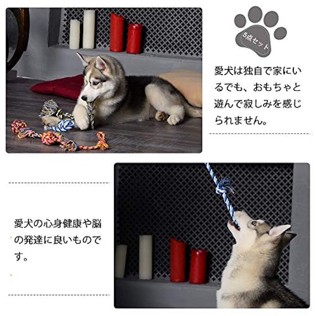 犬用留守番おもちゃのおすすめ人気ランキング10選 Mybest 犬用留守番おもちゃのおすすめ人気ランキング10選 Mybest