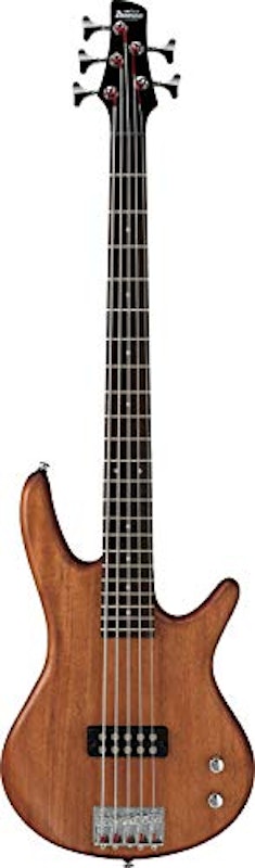 Ibanez GSR105EX 1
