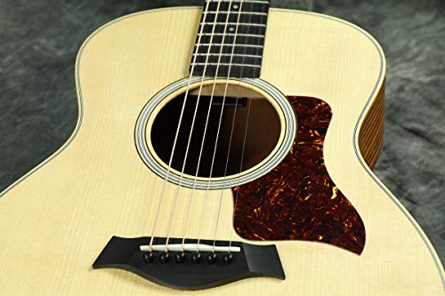 TAYLOR GS Mini Rosewood 5