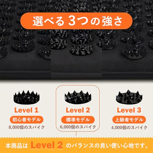 究極のシャクティセット 3
