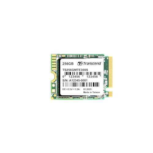 PCIe SSD 300S 1