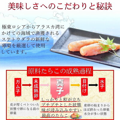 高級一本羽うす色辛子明太子 3