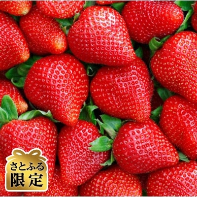 あまおう約300g×4パック 1