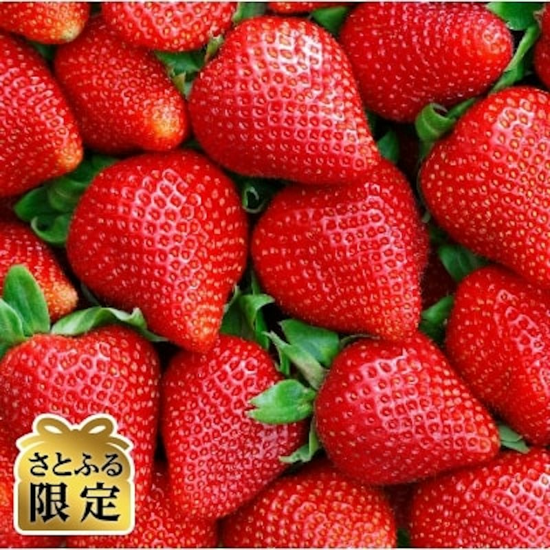 あまおう約300g×4パック 1
