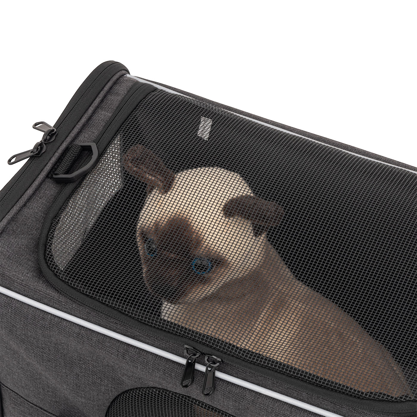 Morpilot ペットキャリーバッグ 4wayの口コミ・評判は？実際に使って