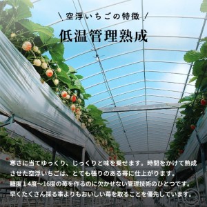 空浮いちご 5