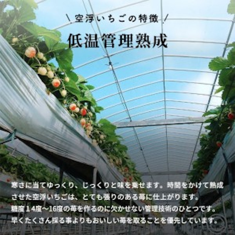 空浮いちご 5