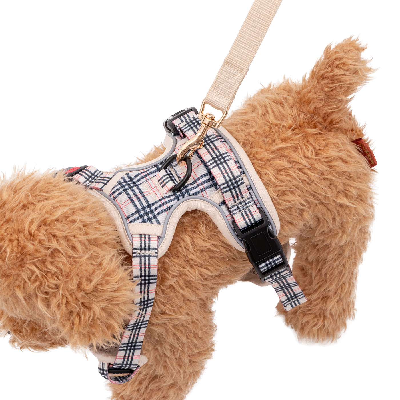 犬用ハーネス 6