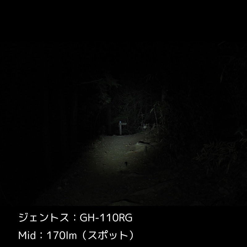 GH-110RG 5