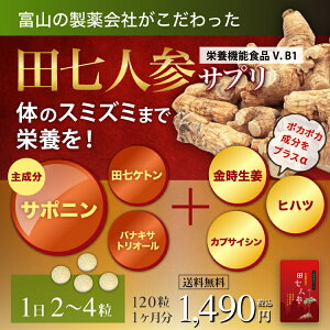田七人参 2