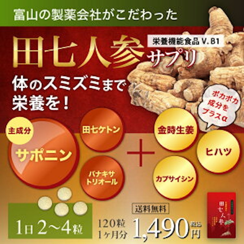 田七人参 2