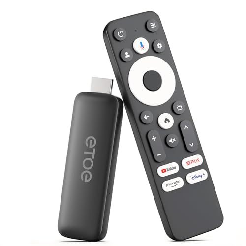 Google TV ボックス 1