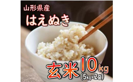 山形県産 はえぬき 玄米  1