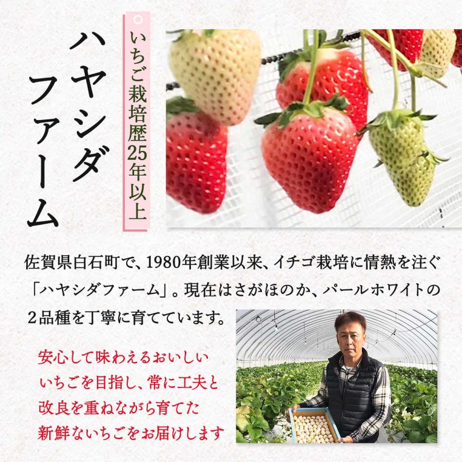 パールホワイト 7