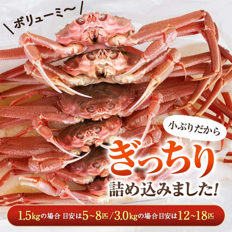 北海道噴火湾産活オオズワイガニ（中小サイズ）3kg詰め込みセット 8