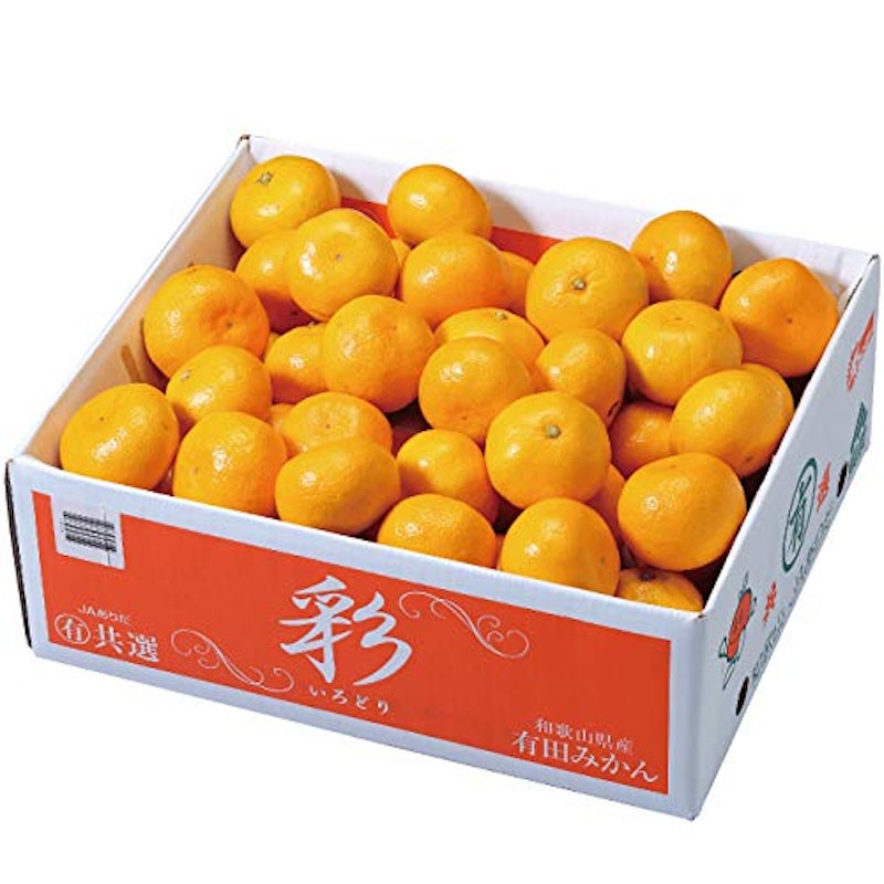 有田みかん 彩 1