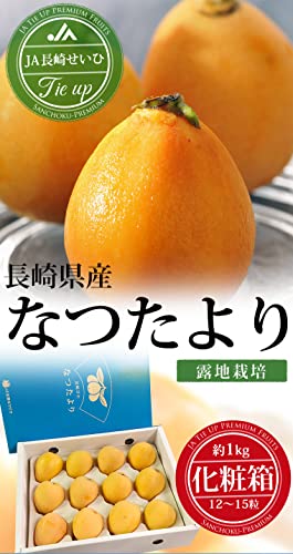 長崎びわ なつたより 露地栽培 2