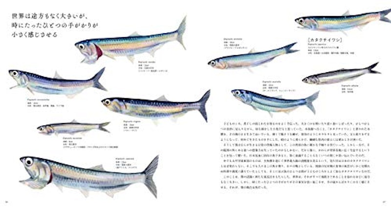 THE FISH 魚と出会う図鑑 2