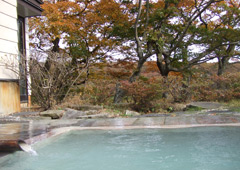 松川屋那須高原ホテル 2