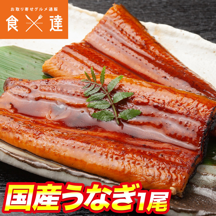 国産うなぎ 1尾 1