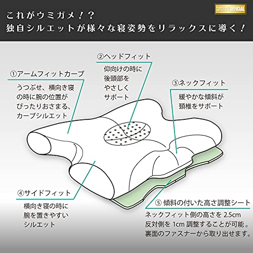 ウミガメピロー 3