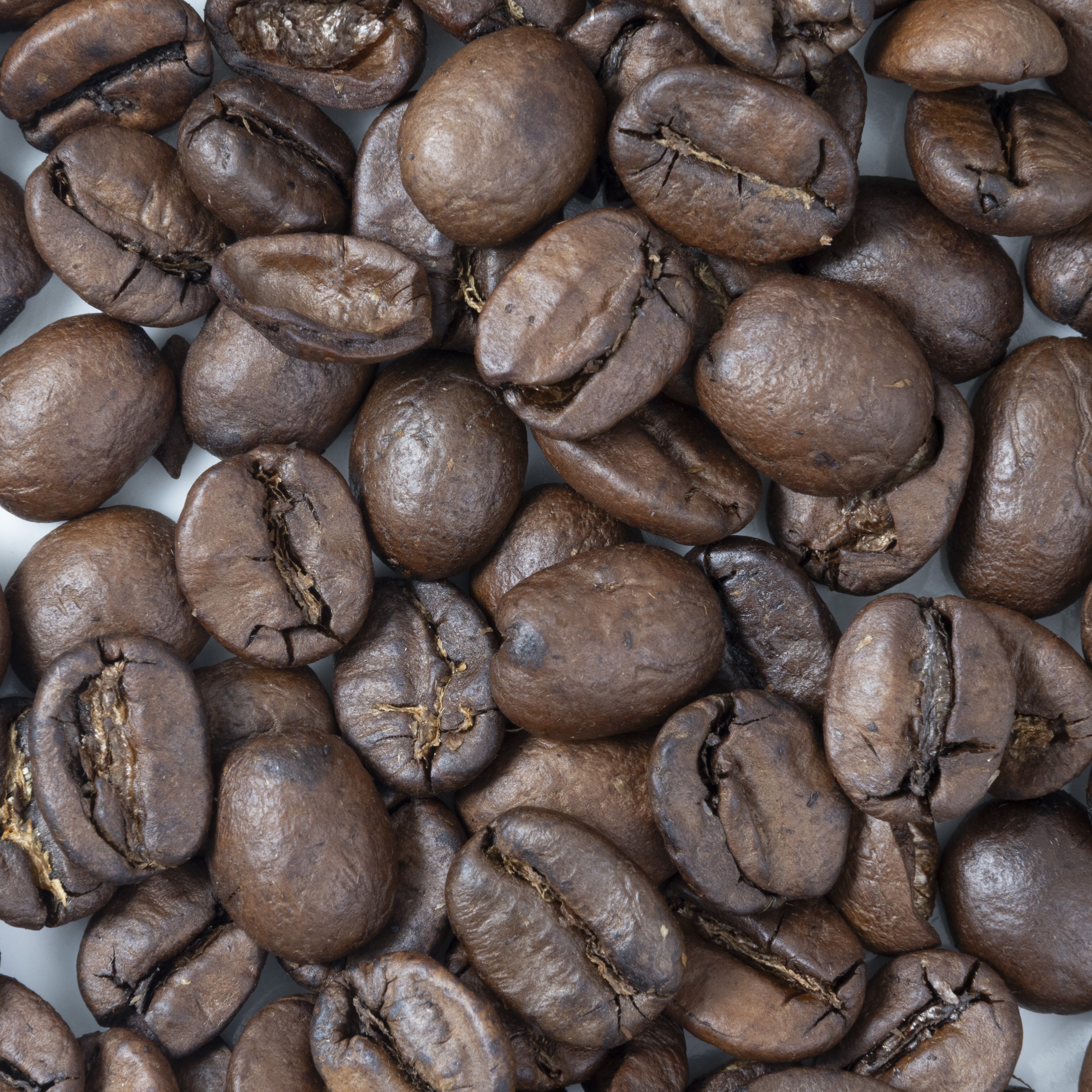 キャメル珈琲 KALDI COFFEE FARM マイルドカルディ クチコミ評価・評判&検証レビュー 2