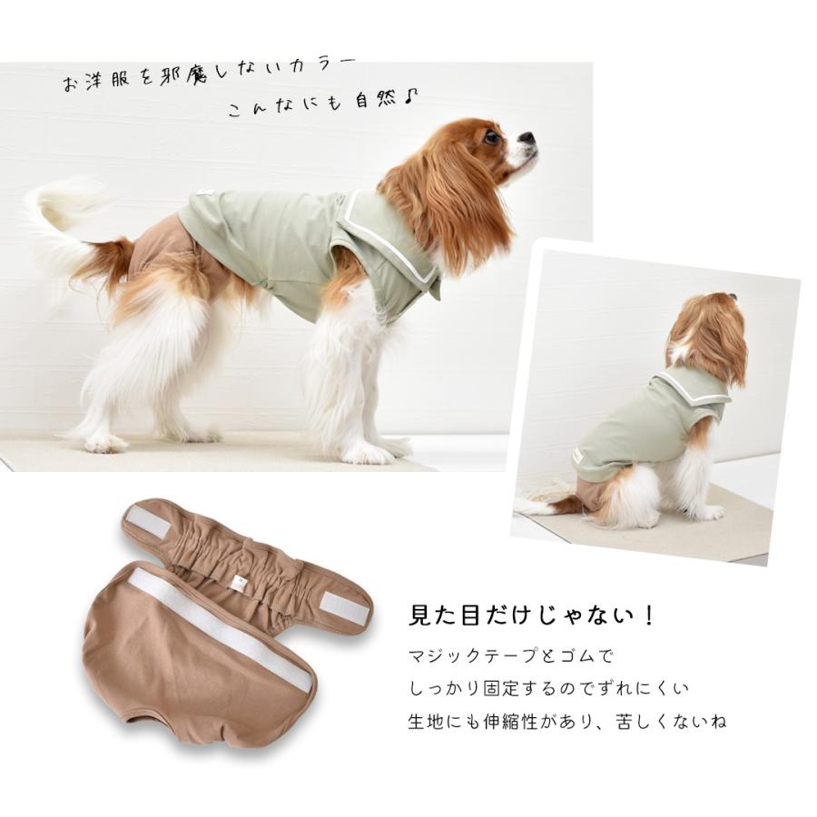 マナーパンツ 3