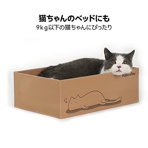猫 つめとぎ ダンボール 4