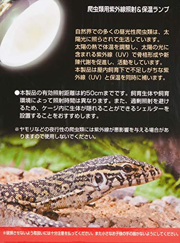 保温　飼育箱　トカゲなど　ヒーター　紫外線ライト 保温飼育箱トカゲなどヒーター紫外線ライト