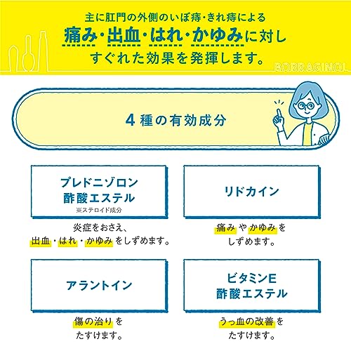 ボラギノールA軟膏 2
