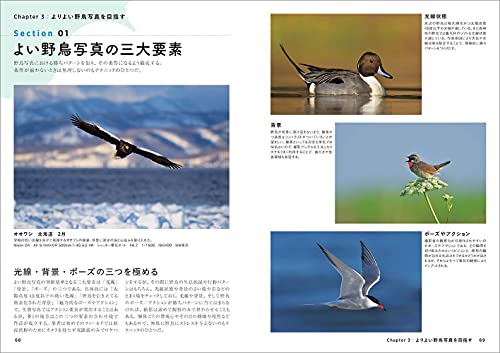 野鳥写真の教科書 4