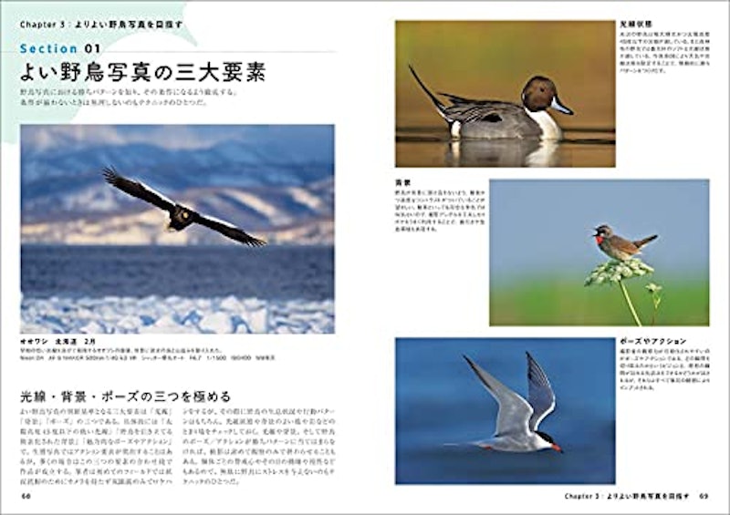 野鳥写真の教科書 4