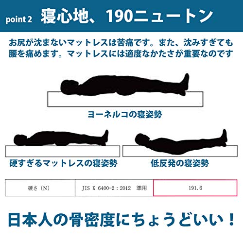 ヨーネルコN3010S 2