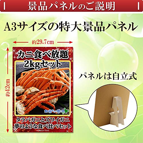 目録 パネル A3 3