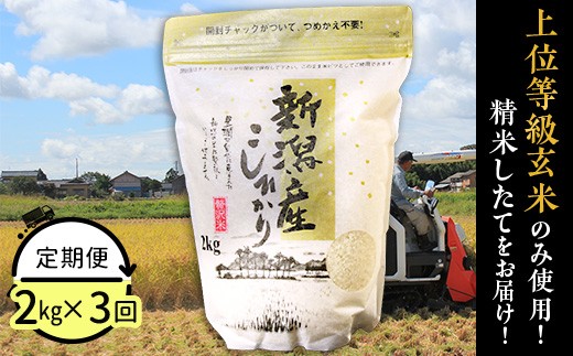 コシヒカリ 定期便 1