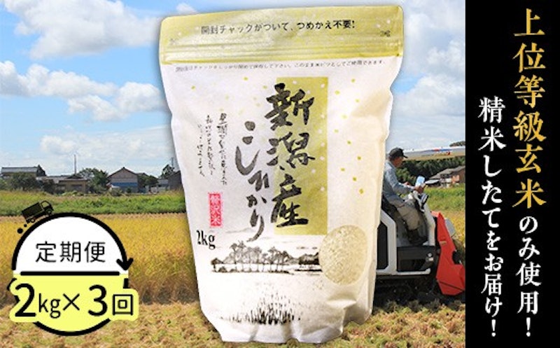 コシヒカリ 定期便 1